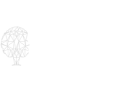 Curadoria Digital Curadoria Digital
