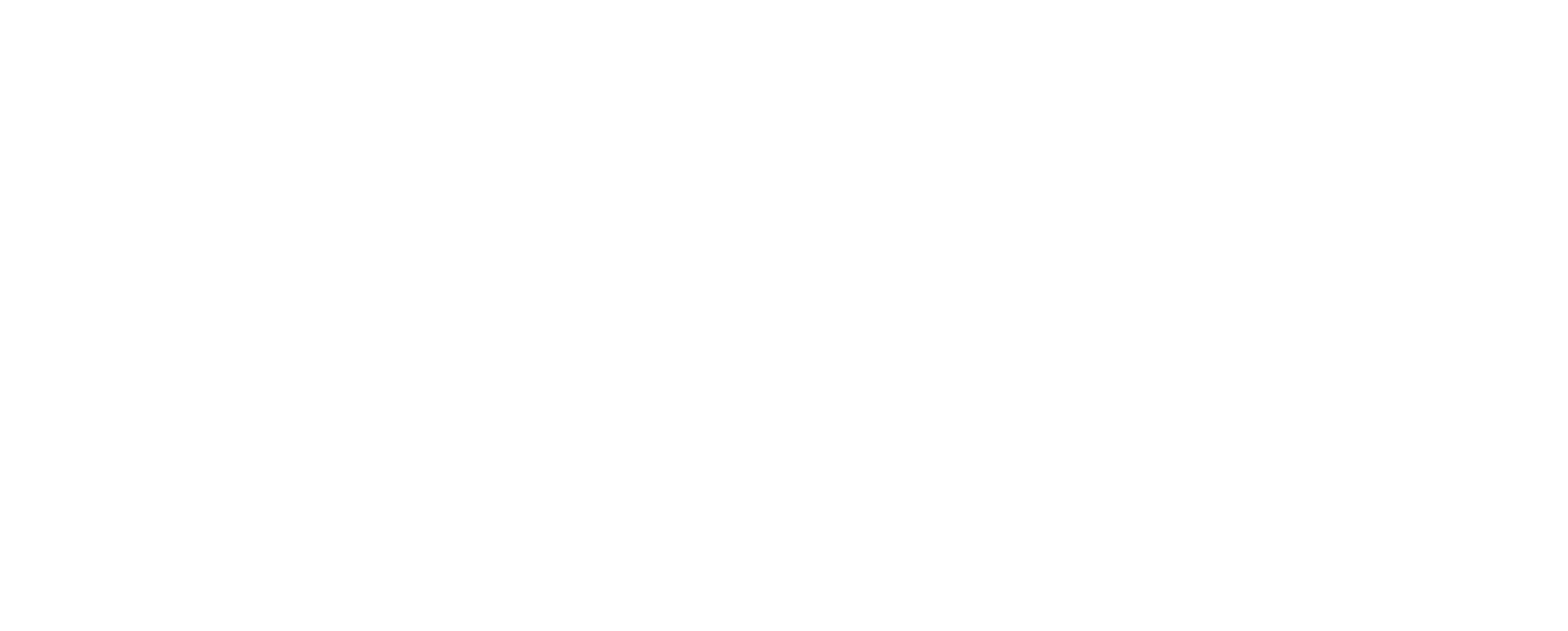 LC - Logotipo - horizontal branco Macromix