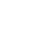 DVS DVS