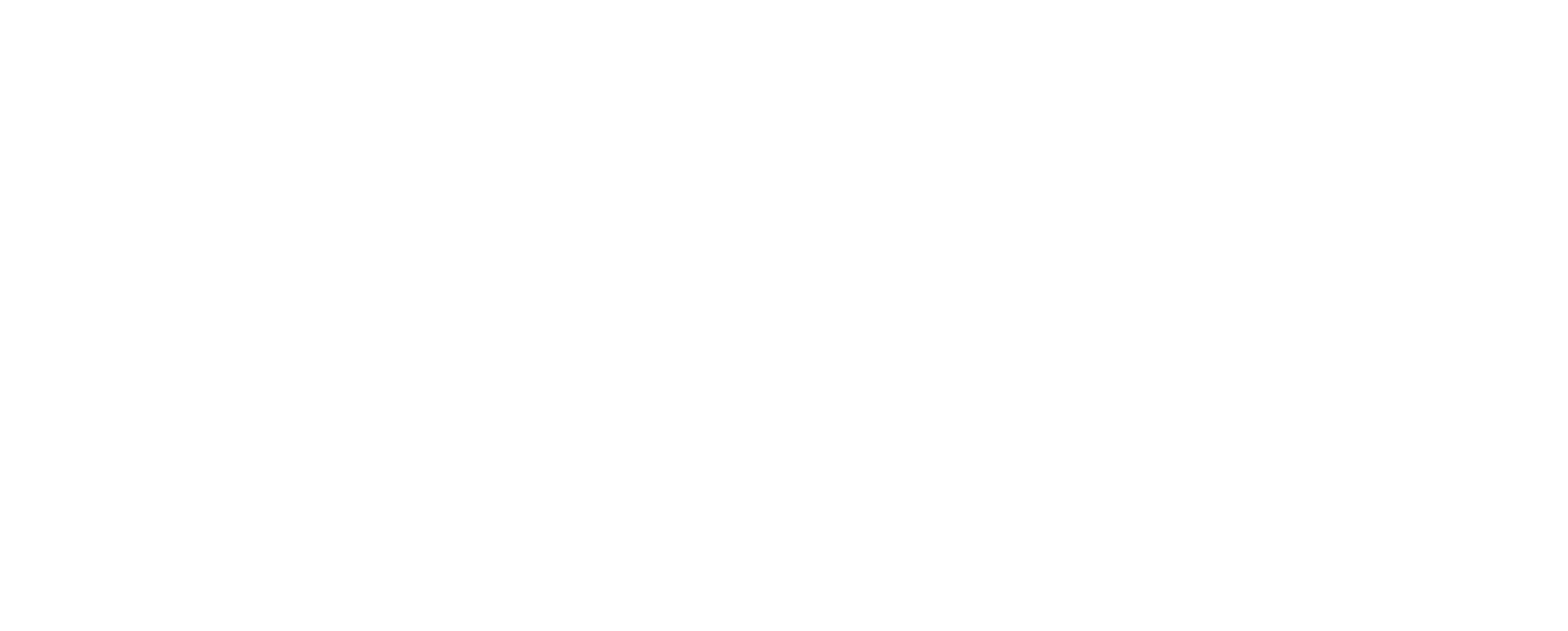 LC - Logotipo - horizontal branco Macromix